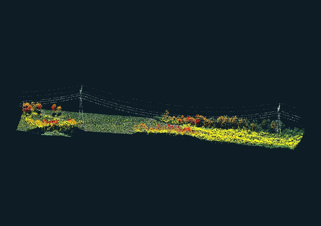 Nube de puntos LiDAR de vegetación y tendido eléctrico